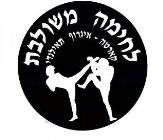 MMA בהדרכת איתי פרנסיס[אלוף עולם]